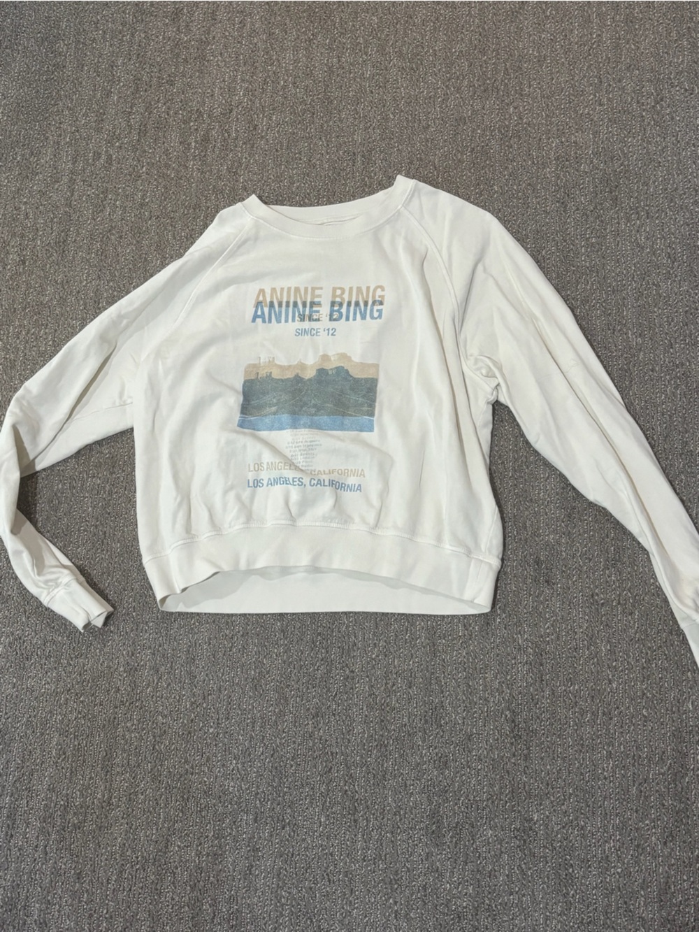 ANINE BING White Graphic Pullover Sweatshirt with Blue & Tan Print